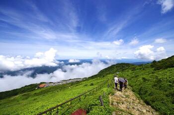 伊吹山_登山道風景中央登山道.jpg