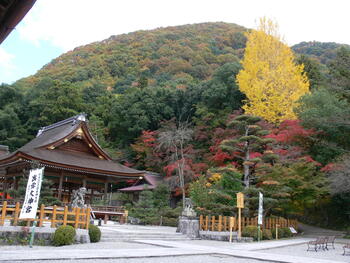 ①出雲大神宮(亀岡).JPG