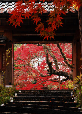 ③「秋の神蔵寺」.jpg